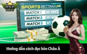Hướng dẫn cách đọc kèo Châu Á Tài Xỉu bóng đá dễ hiểu