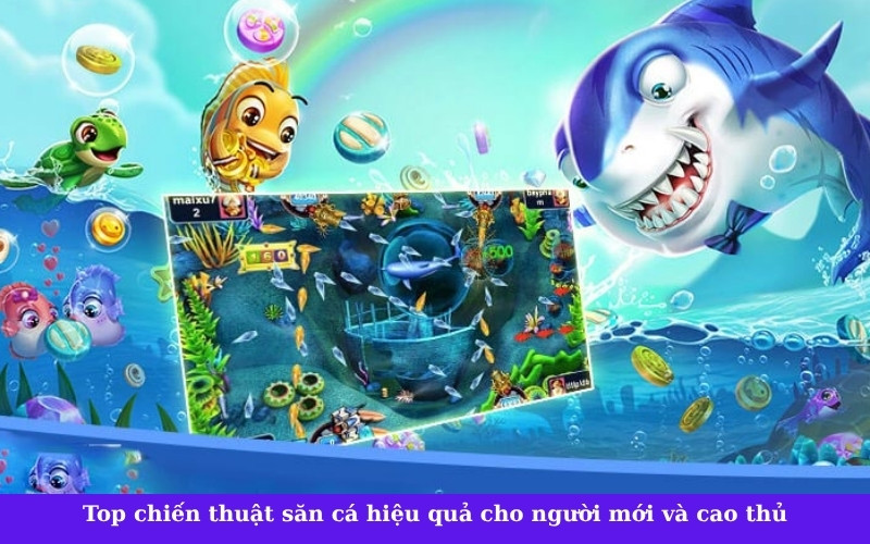 Top chiến thuật săn cá hiệu quả cho người mới và cao thủ